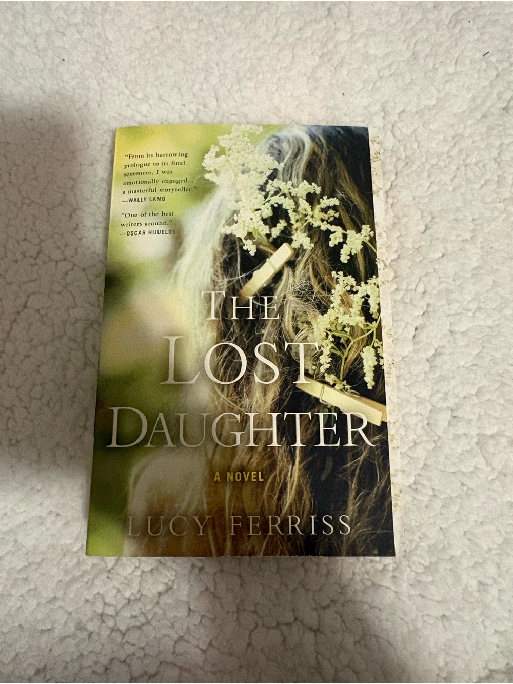 The Lost Daughter by Lucy Ferriss
